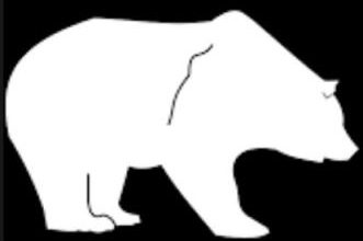 How to survive this Bearish New year in crypto BearLand.