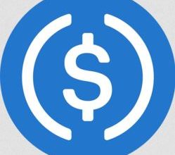 Stable Coins