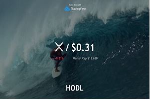 trading view