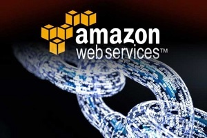 aws blockchain service