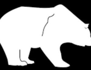 How Crypto bearish period is real bad for ICOs?