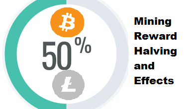 What Is Reward Halving and Its Effects