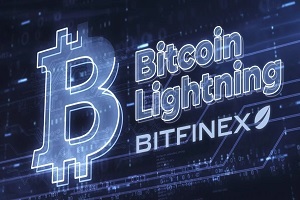 Bitcoin Lightning Network